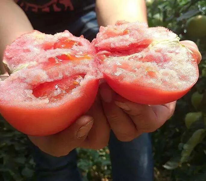 蔬菜水果真丰富
