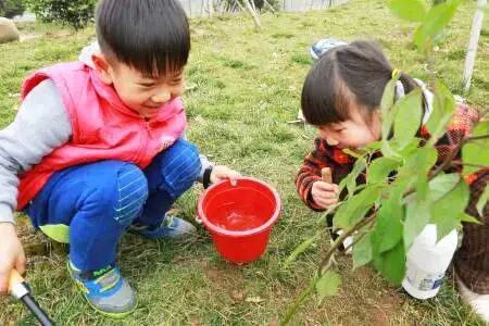 许愿植树
