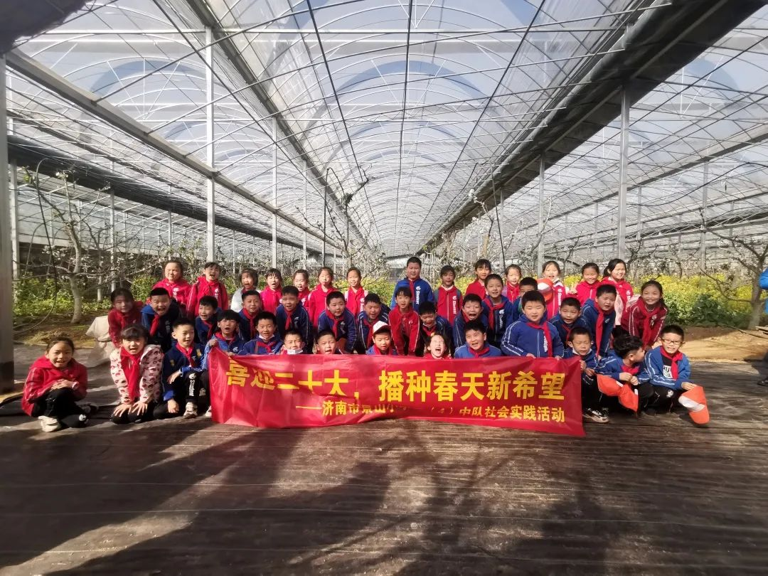 往期植树节活动