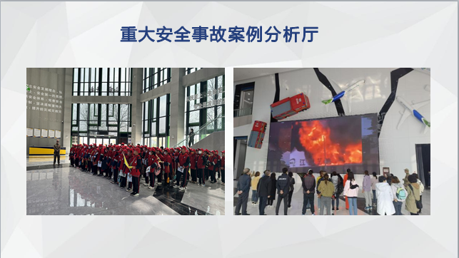 活动安排