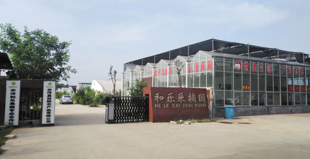 足迹研学劳动专辑之四：做豆腐+采摘+植树