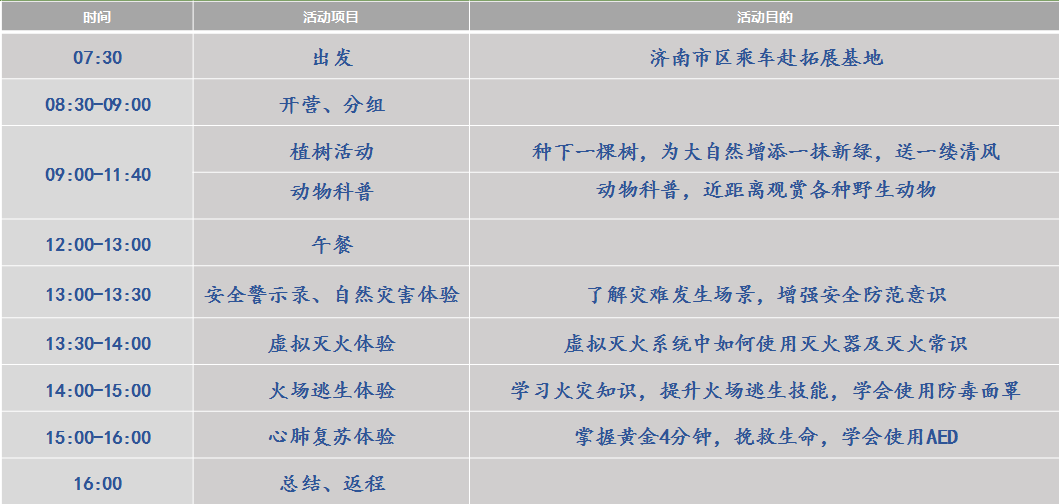 活动安排