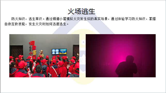 活动安排
