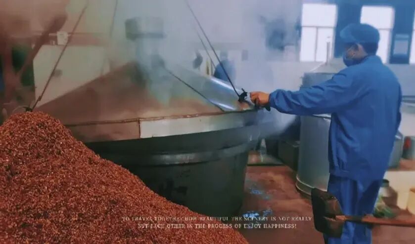 活动掠影