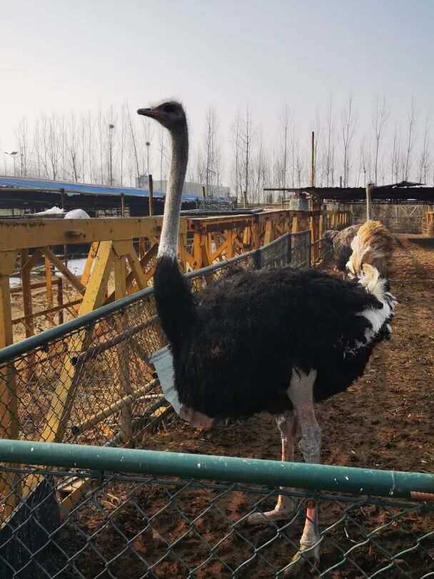 活动掠影
