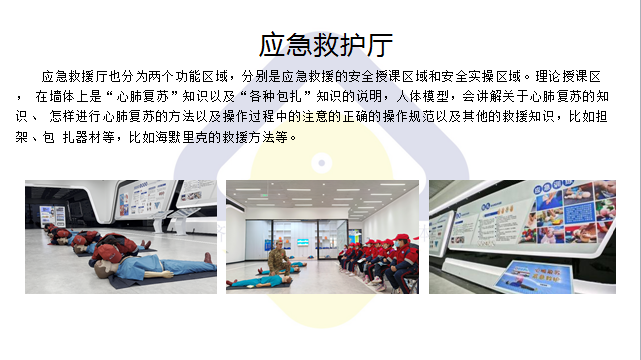 活动安排