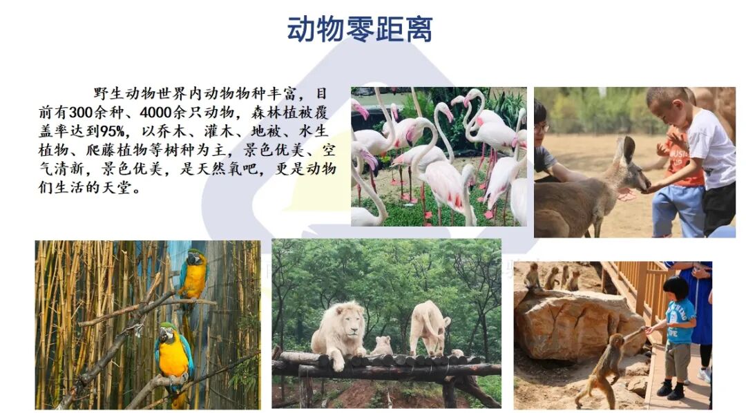 济南野生动物世界