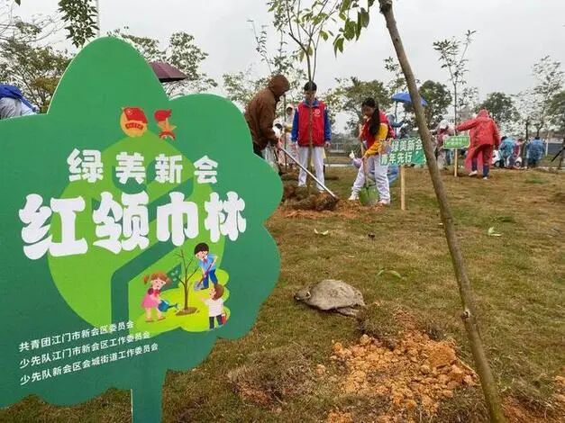 许愿植树